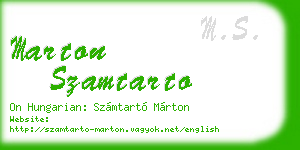 marton szamtarto business card